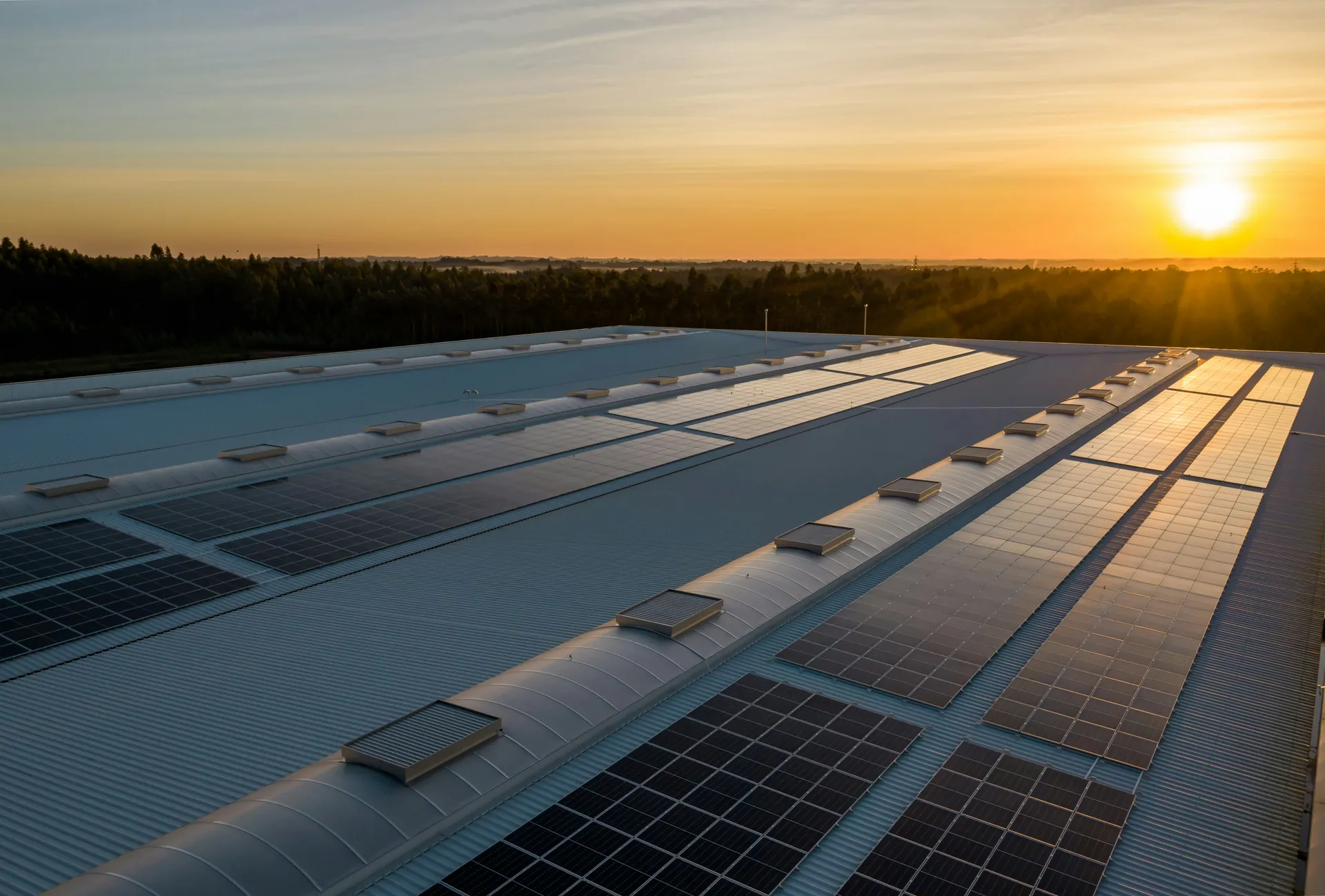 Toiture d'entrep&ocirc;t &eacute;quip&eacute;e de panneaux photovolta&iuml;ques et d'exutoires de d&eacute;senfumage au coucher du soleil
